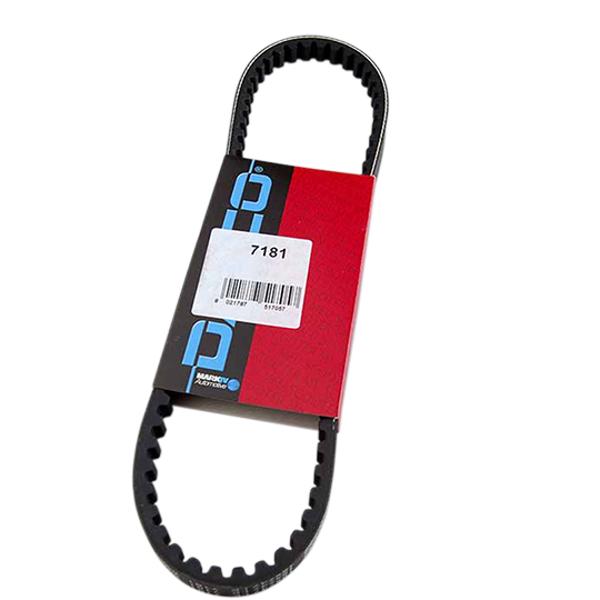 BELT (TOOTHED) DAYCO -MOPED- FOR CIAO PX WITHOUT VARIATOR FOR ORIGINAL PULLEY 955X9.5