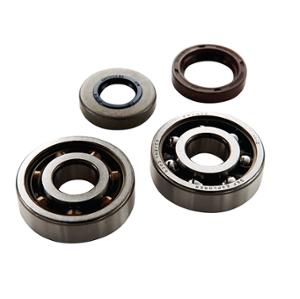 CRANKSHAFT BEARING + OIL SEALS MOTO 50cc TOP PERF FOR AM6 - 6303