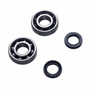 BEARING CRANKSHAFT+ OIL SEALS SCOOTER FOR LUDIX/SPEEDFIGHT 3/VIVACITY 3/KISBEE SKF POLYAMIDE