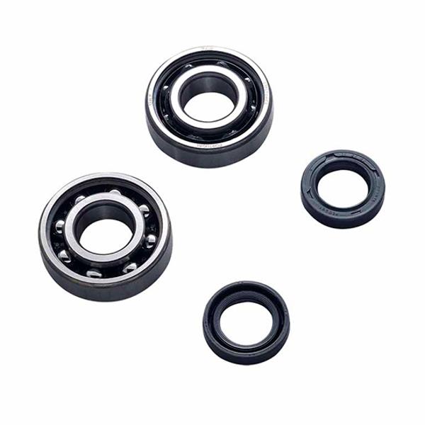 BEARING CRANKSHAFT+ OIL SEALS SCOOTER FOR LUDIX/SPEEDFIGHT 3/VIVACITY 3/KISBEE SKF POLYAMIDE