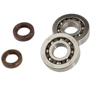 CRANKSHAFT BEARINGS & OIL SEALS DOPPLER FOR TYPHOON/NRG/STALKER (20x52x11) SKF C4 POLYAMIDE