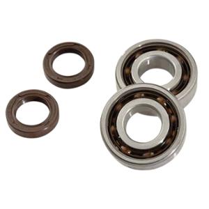 CRANKSHAFT BEARINGS & OIL SEALS DOPPLER FOR LUDIX (20x47x14 -SKF C4 POLYAMIDE
