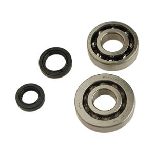 BEARING CRANKSHAFT+ OIL SEALS SCOOTER FOR SPEEDFIGHT2/TREKKER AIR PUMP (20X52X12+20X47X14)
