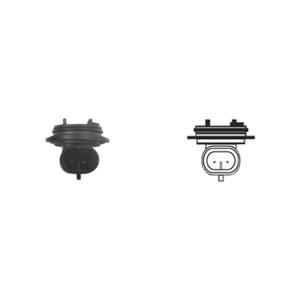 BULB SOCKET FLOSSER 12V H1