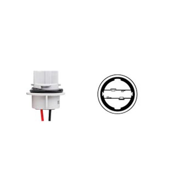 BULB SOCKET FLOSSER 12V W21W - WITH CABLE