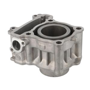 CYLINDER MAXI SCOOTER OEM 125 XMAX/SKYCRUISER/EVOLIS/YZF R/MT/WR (5D7E13110000) NAKED