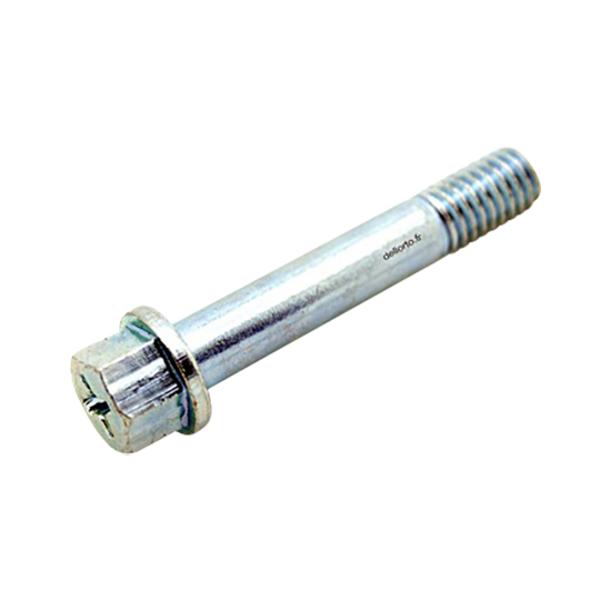 VIS DE COLLIER SERRAGE DELLORTO CARBU PHBG