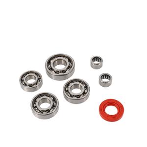 GEAR BOX BEARINGS + OIL SEALS + SOCKET FOR AM6