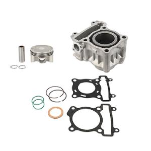 CYLINDER MAXI SCOOTER OEM 125 XMAX/SKYCRUISER/EVOLIS/YZF R/MT/WR (1B9WE13A1000)