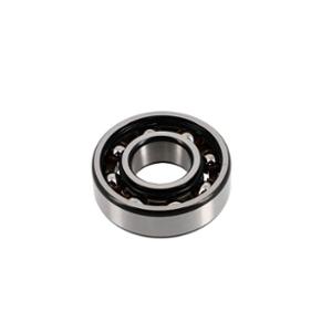BEARING   6204 - POLYAMIDE CAGE  - x1