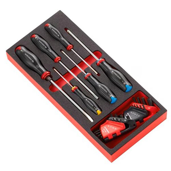 MODULE MOUSSE TOURNEVIS PROTWIST / CLÉS MÂLES / TORX FACOM