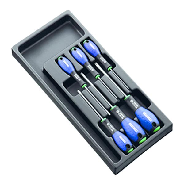 MODULE 6 TOURNEVIS TORX - EXPERT - E194941