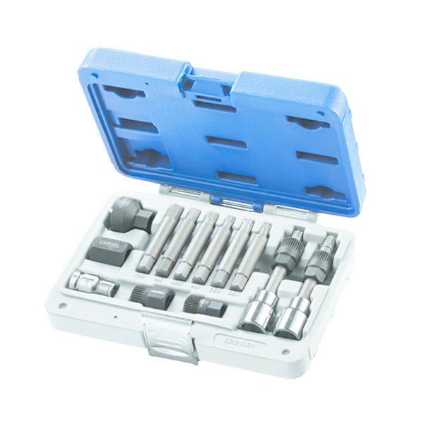 BOX SET 13 PARTS FOR ALTERNATER PULLIES - EXPERT - E201901