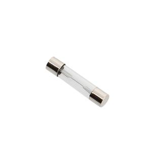 ROUND GLASS FUSE 10 AMPERES FLOSSER  6.3 X 30mm (X10)