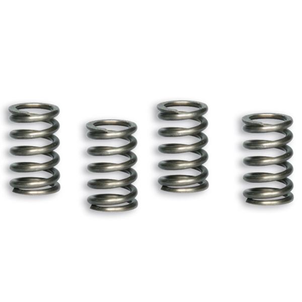 CLUTCH SPRING -MOTORCYCLE- MALOSSI REINFORCED FOR PIT BIKE/MINI GP - SET OF 5