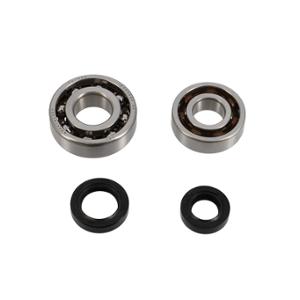 CRANKSHAFT BEARING + SEAL -SCOOTER- FOR SPEEDFIGHT/TREKKER/BUXY/VIVACITY - TPI C4 STEEL CAGE