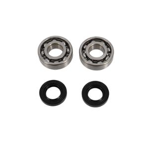 CRANKSHAFT BEARING + SEAL -GEARED 50cc- FOR DERBI EURO2/EURO3/EURO4 - 6204 C4 TPI STEEL CAGE
