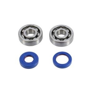 CRANKSHAFT BEARINGS + OIL SEAL -GEARED 50cc- POLINI FOR AM6