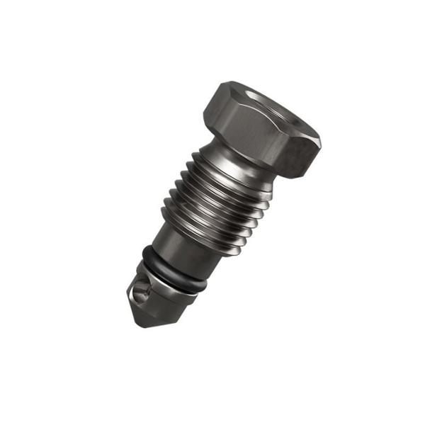 VIS / VALVE DE PURGE FREIN DISQUE HYDRO VTT MAGURA GUSTAVE / CLARA / LOUISE (X10)