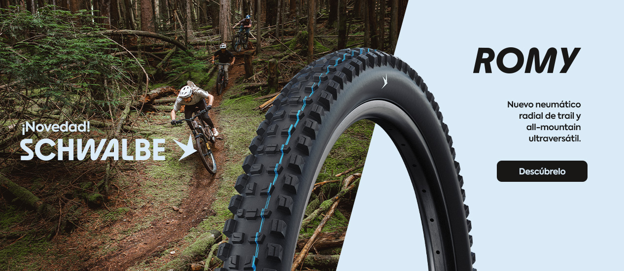 Neumáticos SCHWALBE ROMY 01/26