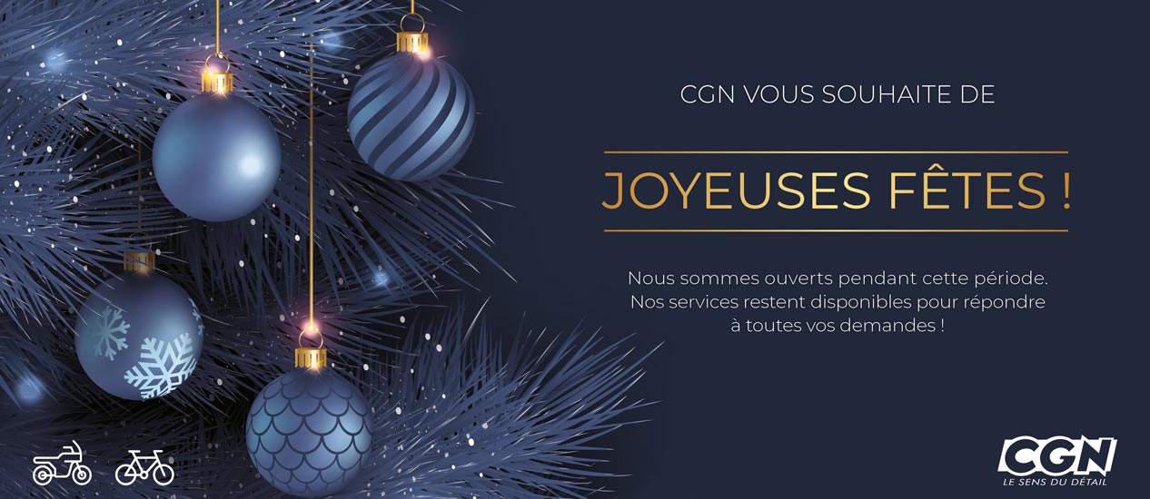 Joyeuses Fêtes 2025