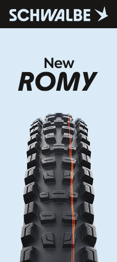 SCHWALBE Tires ROMY 01/26