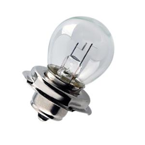 LAMPE / AMPOULE 12V 15W (P26S) FLOSSER PROJECTEUR